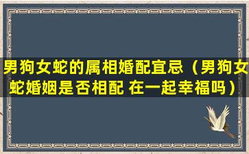 男狗女蛇的属相婚配宜忌（男狗女蛇婚姻是否相配 在一起幸福吗）